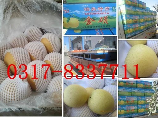 ɽ�|�����͑�ӆ�����T�Fƽ�_(t��i)��100�䲴�^�����b܇�l(f��)؛